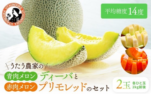【先行予約】【ふるさと納税】青肉メロンディーバと赤肉メロンプリモレッドのセット