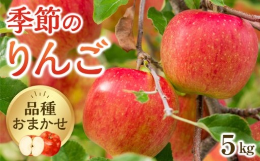 【品種はおまかせ】季節のりんご 5kg箱