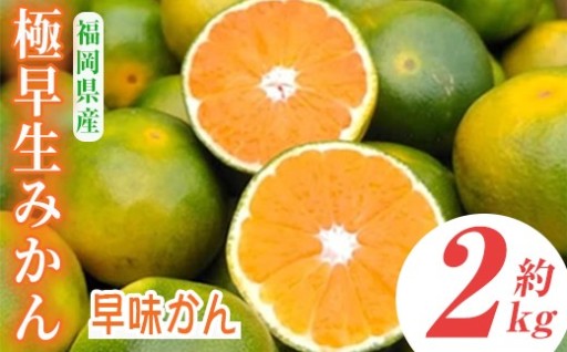 ＜先行予約受付中！2026年9月中旬～9月下旬に順次発送予定＞極早生みかん 早味かん(約2kg)
