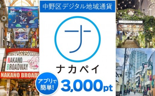 ナカペイふるさと納税ポイント 3,000円分