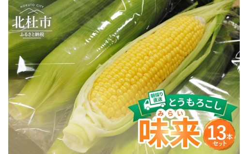 【2026年先行予約】北杜市産とうもろこし『味来（みらい）』朝採り直送13本セット