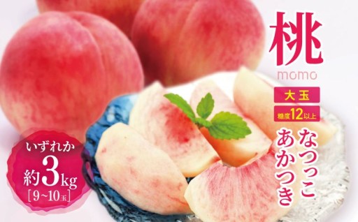 【先行受付】信州産桃 旬の桃（なつっこorあかつき）大玉 3kg（9～10玉）