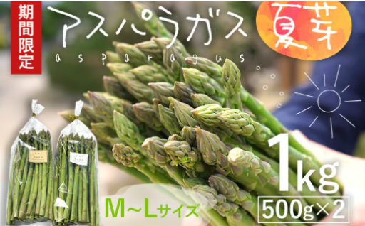 【予約受付開始🌟】🍃 数量限定 アスパラ 夏芽 M~Lサイズ 1kg（500g×2）🍃 