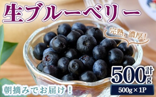 完熟、濃厚生ブルーベリー500g