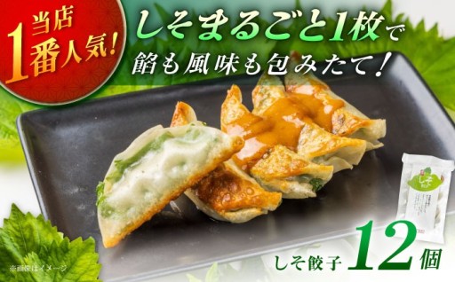 餃子屋ヒロ 1番人気のしそ餃子12個