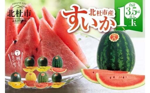 【2026年先行】北杜市白州産すいか「すいかばか！」のこだわりの特選すいか セレブシリーズと名水甲羅の中から1玉