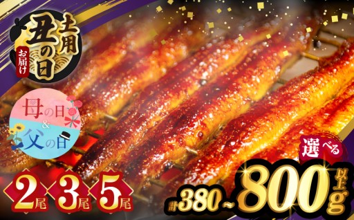 【宮崎県都農町】＼🔥選べる内容量・発送・夏の丑の日🔥／うなぎ蒲焼2尾or3尾or5尾✨