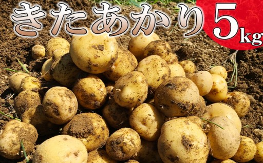 予約承り中！岩手県産の美味しいじゃがいも！