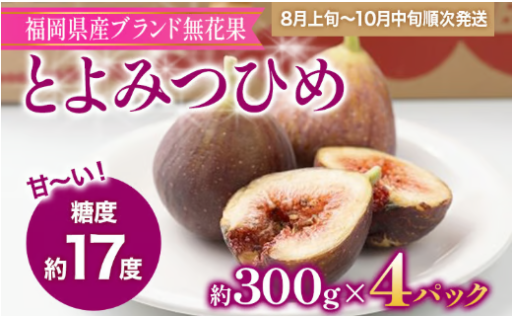 【🔔先行予約受付中】福岡県産ブランド無花果「とよみつひめ」(約300g×4パック)