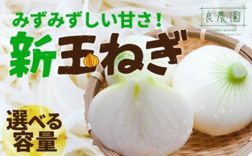 大人気農園の良農園が自信をもって提供する新玉ねぎが登場