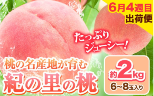 毎年たくさんのオーダーをいただく、岩出市の大人気返礼品のです。とろける旨さの「紀の里の桃」ぜひご賞味ください!!