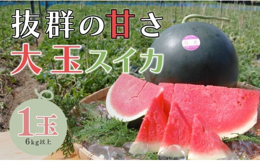 驚きの甘さ！ねばねばファームさんのこだわりスイカ🍉
