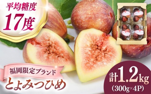 糖度はあまおう超え！？甘～い 絶品いちじく♪