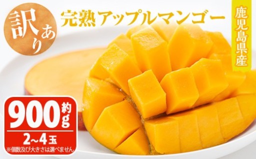 ＜先行予約受付中＞＜訳あり・数量限定＞ 完熟アップルマンゴー「紅」(約900g・850～950g)