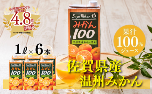 暑い時期の水分補給にピッタリのみかんジュース♪