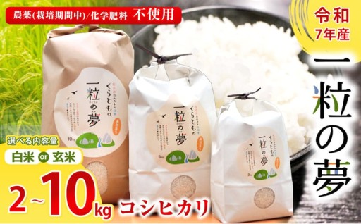 白米 ・玄米 コシヒカリ 2kg～10kg
