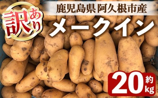 ＜先行予約受付中！2026年6月以降順次発送予定＞訳あり！じゃがいも メークイン(20kg)