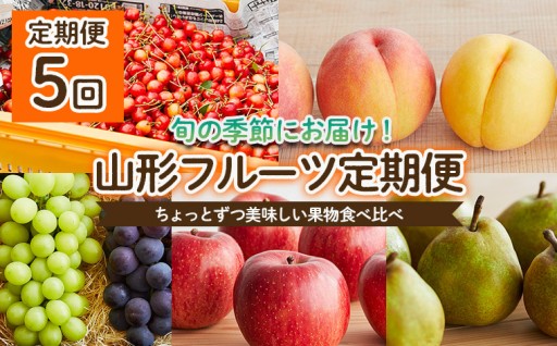 【定期便5回】ちょっとずつ美味しい果物定期便