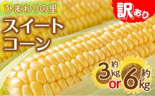 ＜2026年6月上旬以降順次発送予定＞＜訳あり＞イエローコーン(約3kg・約6kg)