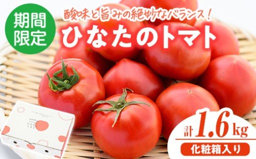 門川ひなたのトマト(800g×2箱) 