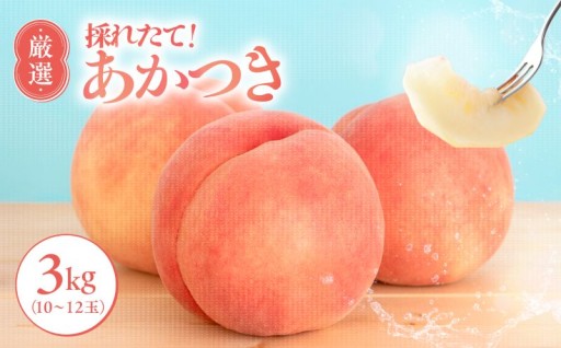 【7月下旬より順次発送】南信州産「桃」あかつき 約3kg 10~12玉