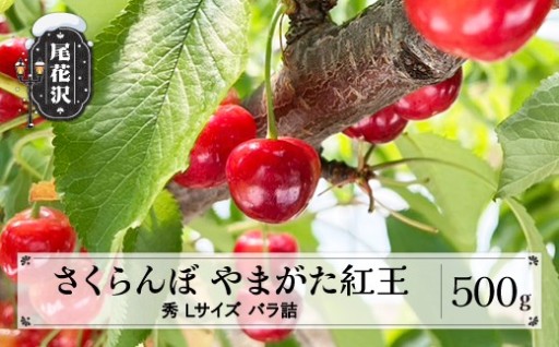 20年の歳月が育んだ新品種：🍒 紅王 🍒　