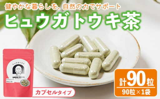 ヒュウガトウキ茶 カプセル(90粒×1袋)
