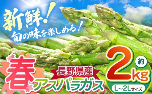 春 アスパラガス 約2kg 農家直送 ハウス栽培（路地栽培あり）