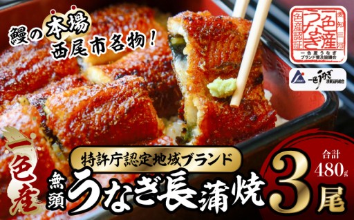 🌊一色産うなぎ🌊無頭 長蒲焼3尾（480g）