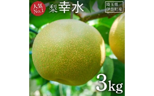2026年出荷分の「伊奈町の梨・幸水（こうすい）」予約受付開始しました！