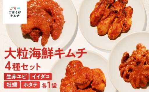 【ごほうびキムチ】大粒海鮮キムチ4種セット（生赤エビ・イイダコ・牡蠣・ホタテ 各種1袋）