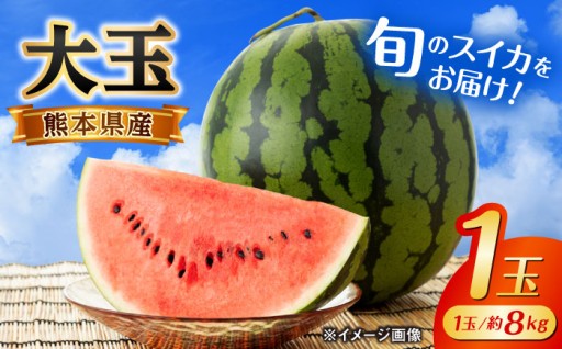 熊本といえばこれ！ 旬なスイカをお届け致します♪