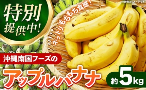 【特別提供中】南国フーズのアップルバナナ 約５kg
