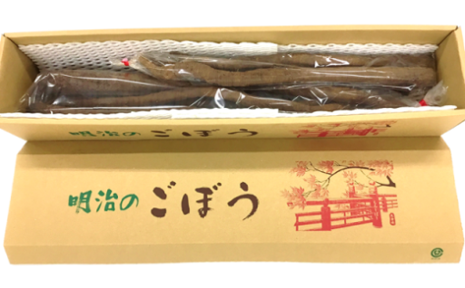 〈先行予約品！〉豊かな風味とち密な肉質の「明治ごぼう」をお届けします♪