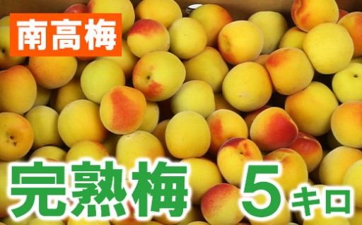ひらそ農園の完熟梅 5kg