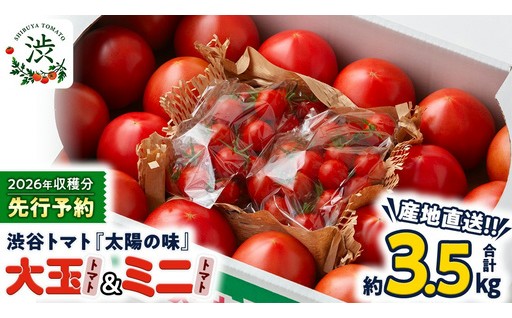 ＼ まもなく受付終了！／ -太陽の味- 渋谷トマト 大玉・ミニ 詰め合わせ 約3.5kg