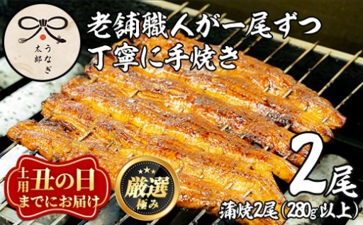 ＜丑の日までにお届け！＞鹿児島県産東串良町のうなぎ蒲焼・秘伝のタレ付き(2尾・計280g以上)