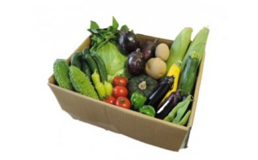 野菜 セット 季節の野菜 おまかせ 坂北やさいBOX