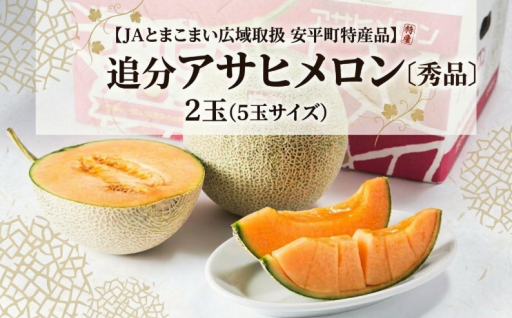 追分アサヒメロン〔秀品〕2玉(5玉サイズ)＜JAとまこまい広域取扱 安平町特産品＞