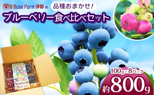 ブルーベリー 食べ比べ 100g×8p