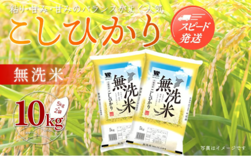 【洗わず簡単】すぐ炊ける無洗米！令和7年産 千葉県大網白里市産コシヒカリ10kg（5kg×2）