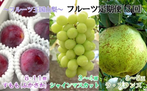 【フルーツ定期便】シャインマスカット 約２kg＆すもも約1.3〜1.5kg＆ラ・フランス 約1.5kg