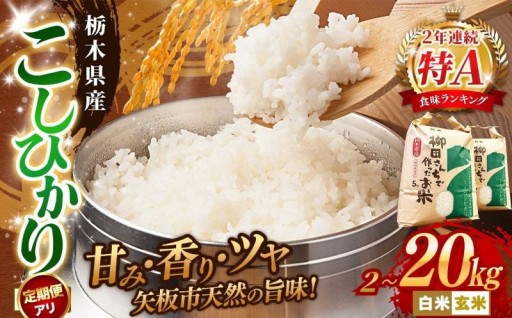 【寄付額改定！】矢板市特別栽培米が5000円台に♪おいしい矢板米「こしひかり🌾」