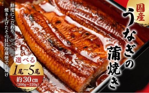 地元飲食店に愛される美味さにこだわった 国産うなぎの蒲焼き (1尾/2尾/3尾/4尾/5尾)