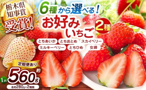 大注目★6種類からお好きないちご🍓が選べる♪「お好みいちご💕」