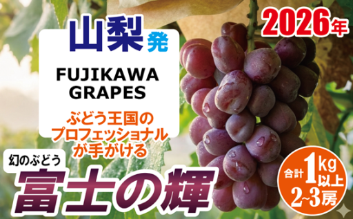 【新規】《超希少品種！》【富士の輝】　1.0kg以上（2～3房）