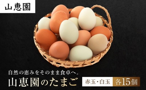 山恵園のたまご
