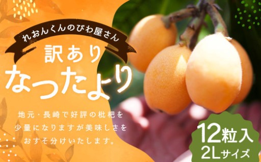 【訳あり】長崎産 茂木びわ「なつたより」2L（12粒入り）【2026年5月上旬～6月下旬迄発送予定】 