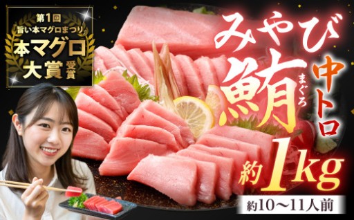 本マグロ 大賞受賞 みやび鮪 中トロ 計約1kg (約10～11人前) 
