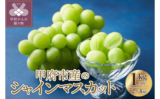 シャインマスカット 2～3房（1.0kg以上）